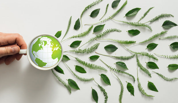 Nachhaltige Produkte